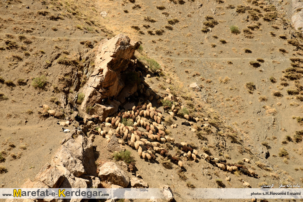 جاده مریوان سقز